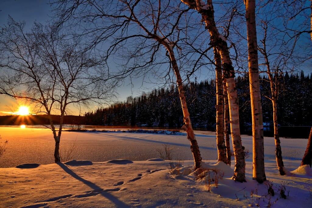 A winter sunrise